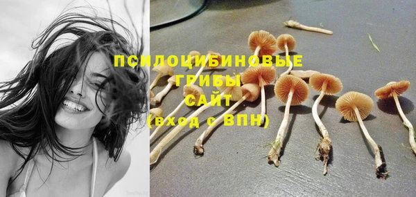 крисы Абдулино