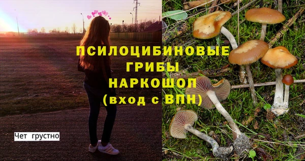 марки nbome Абаза