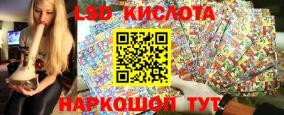 винт Дмитров