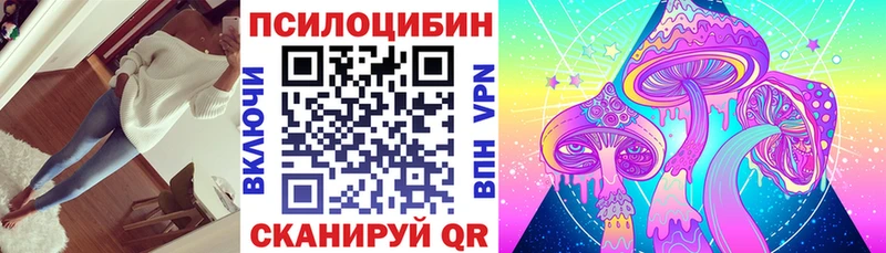 Галлюциногенные грибы Psilocybine cubensis Абакан