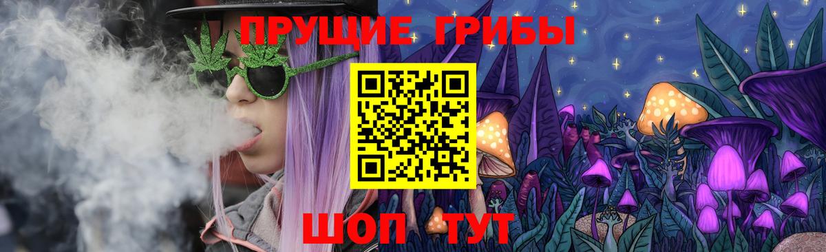 Галлюциногенные грибы Magic Shrooms  хочу   Псилоцибиновые грибы Cubensis  Абакан  Вход с VPN 